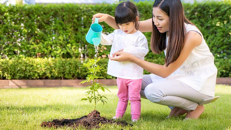 asian-family-mother-kid-daughter-plant-sapling-tree-watering